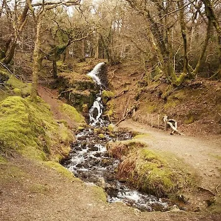 Finlodge- Pet-friendly Scandinavian Callington